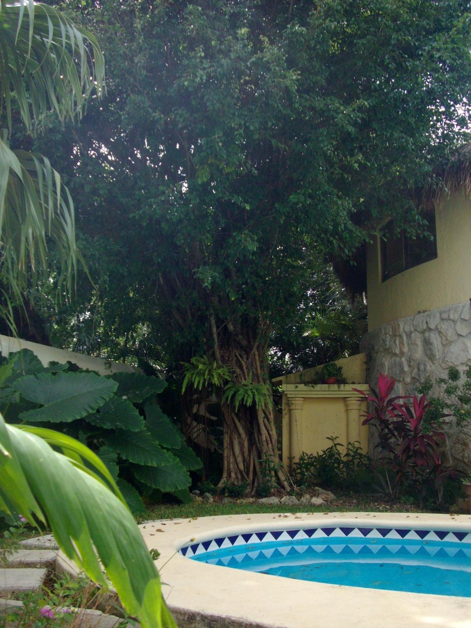 Residencia Los Encantos Cancún Buitenkant foto